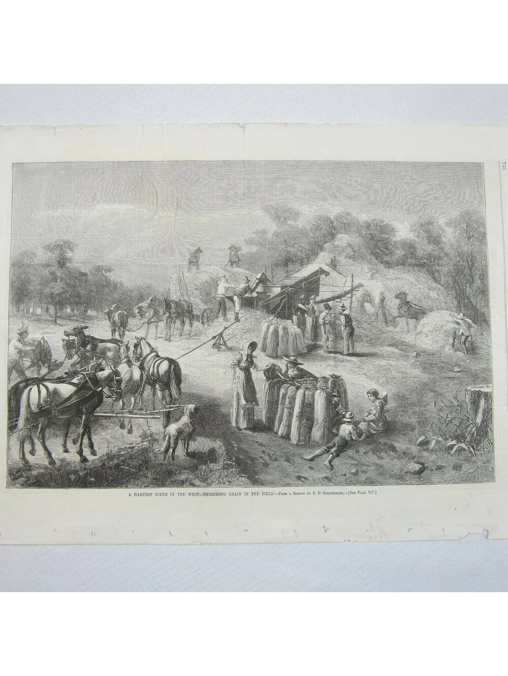 Antique 1878 Print A Harvest Scene in the West O.D. Steinberger Harper’s Weekly